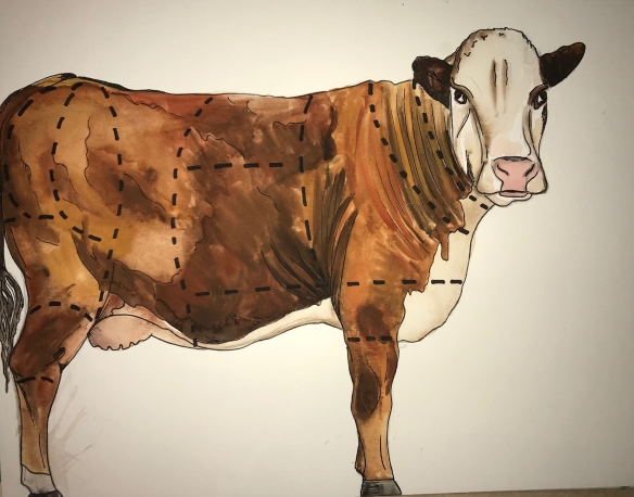 watercolour cow-meat chart